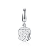 Harry Potter x FANCIME Slytherin Silver Charm