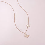 FANCIME "Twinkling Kiss" Butterfly 14K Rose Gold Necklace Full