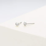 FANCIME Tiny Dot 14K Solid White Gold Studs Earrings Show